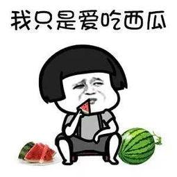 娱乐圈的瓜吃的太多了,揭秘过度追星背后的真相